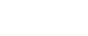 Mindful Employer